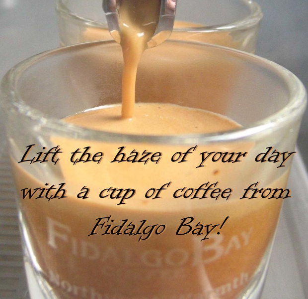 FIDALGO BAY COFFEE