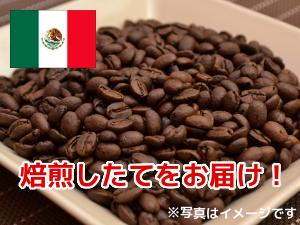コーヒー豆 メキシコ アルツーラ