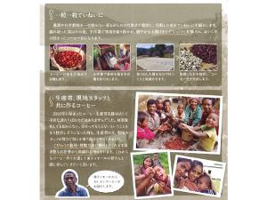【フェアトレード/ピースコーヒー】東ティモールピースコーヒー焙煎豆（500g）