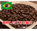 【焙煎所直送】ブラジルサントス (生豆時105g×3袋)