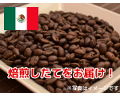 【焙煎所直送】メキシコオーガニック　マヤビニック (生豆時105g×3袋)