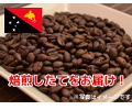 【焙煎所直送】パプアニューギニア (生豆時105g×3袋)