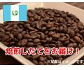【コーヒー豆】グァテマラ オリエンテ (生豆時105g×3袋)