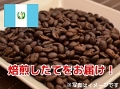 【コーヒー豆】グァテマラ カフェインレス (生豆時105g×3袋)