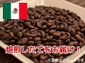 【コーヒー豆】メキシコオーガニックマヤビニック カフェインレス (生豆時105g×3袋)