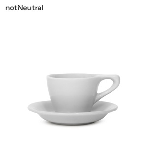 nN LN Espresso Cup & Saucer 3oz Light Gray